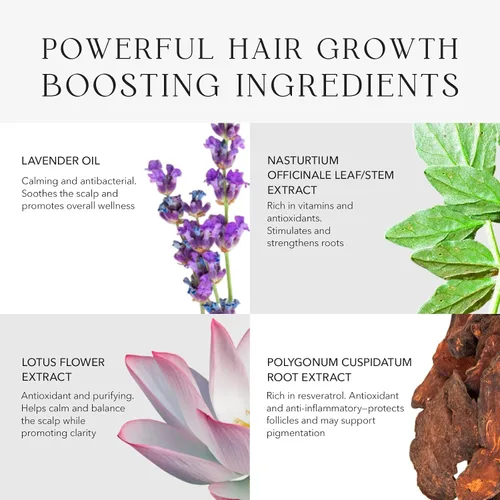 Vista 6 de KIWABI ROOT BEAUTÉ - Acondicionador para el cuero cabelludo – Tratamiento para el crecimiento del cabello y el cuero cabelludo para adelgazamiento