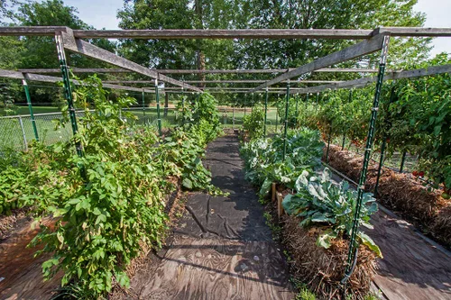 Vista 6 de El kit de iniciación de jardinería con balas de paja incluye libro de instrucciones de Karsten y BaleBuster 5 Organic SBG Preparation Mix