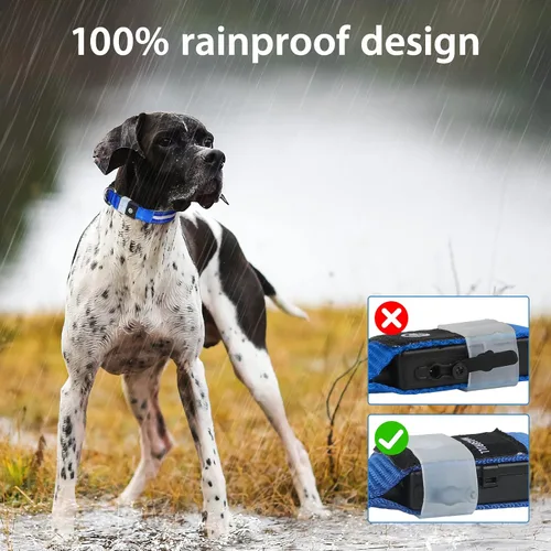 Vista 4 de MASBRILL Collar de perro con luz LED - Recargable, resistente al agua, intermitente, collar brillante para caminar por la noche