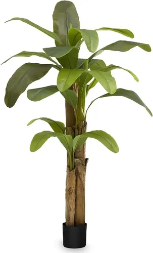 Vista 13 de Maia Shop - Árbol de plátano artificial, 4 pies, maceta negra incluida Banana