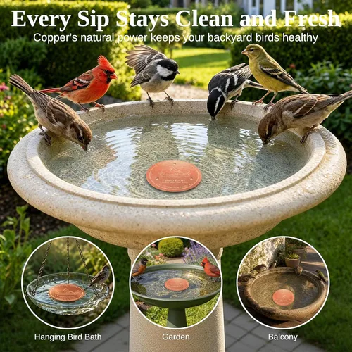 Vista 4 de Disco de cobre para baño de pájaros, 99.9% de cobre puro