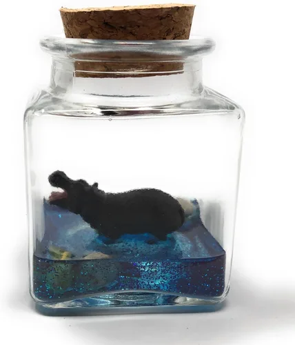 Vista 3 de Mini hipopótamo para mascotas con certificado marrón de adopción hipopótamo pigmeo hecho a mano en EE. UU. Fish Belli