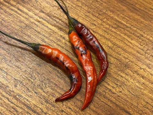 Vista 3 de Purple Chile De Arbol Tree - Semillas prémium para plantación y más