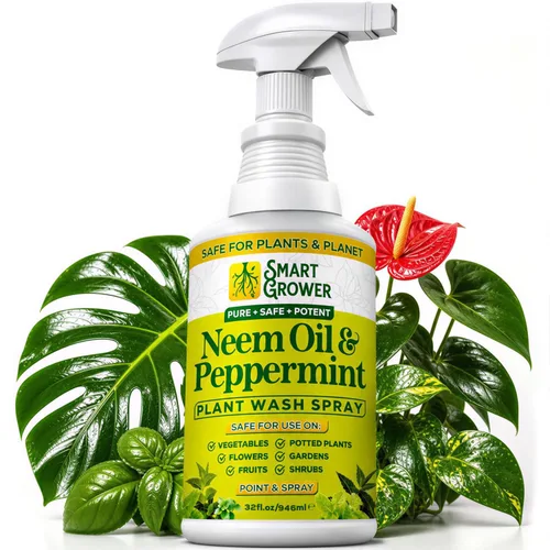 Vista 11 de Aerosol de aceite de neem para plantas con aceite de menta, para plantas de interior y exterior, jardines y plantas de interior, recambio