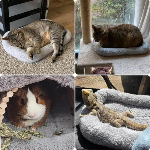 Vista 8 de Cama pequeña para gatos, cama suave para mascotas con almohada envolvente, alfombrilla autocalentable para gatos de interior, perros pequeños S