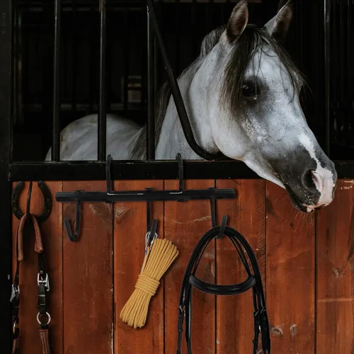 Vista 7 de Estante de acero con ganchos giratorios para caballos, ganchos de brida colgantes negros, ganchos portátiles para tachuelas, organizador