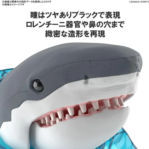 Vista 5 de Bandai Hobby - Explorando la naturaleza del laboratorio - Gran kit de modelo de tiburón blanco