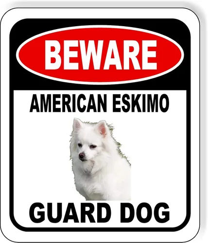 Vista 35 de BEWARE BASSETT HOUND GUARD DOG - Letrero compuesto de aluminio para exteriores, 8.5 x 10 pulgadas CUIDADO BASSETT HOUND GUARD PERRO