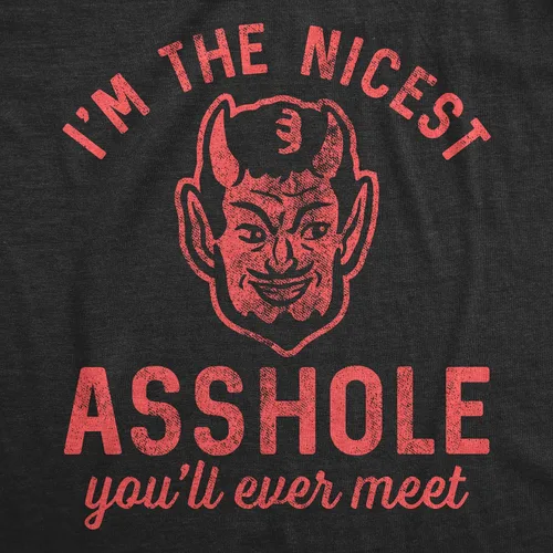 Vista 2 de Camiseta divertida con texto en inglés "I'm The Nicest Asshole You'll Ever Meet con la leyenda "I'm The Nicest Asshole You'll Ever Meet