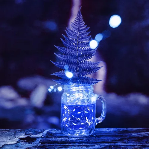 Vista 5 de HSicily Luces de Hadas Enchufables, 8 Modos 33 pies 100 LED Luces de Cadena USB con Adaptador Control Remoto Temporizador Luces Azules Centelleantes