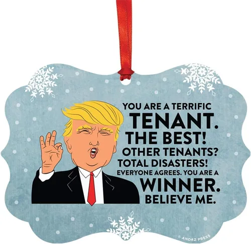 Vista 128 de Andaz Press Presidente Donald Trump Fancy Frame Recuerdo Adorno de Navidad Regalo de broma Ejecutivo de Cuenta, 1 paquete, Divertidas Ideas