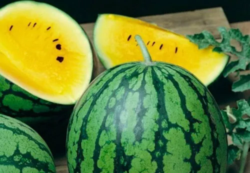Vista 3 de Semillas Muñeca Amarilla Sandía Heirloom Fruit Non GMO