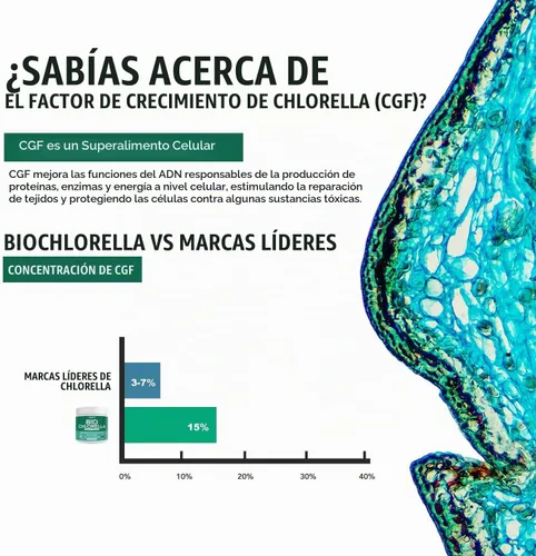 Vista 6 de Polvo orgánico de Chlorella - Cruda y cultivada al sol - Algas verdes densas en nutrientes con CGF (factor de crecimiento de Chlorella), apoya