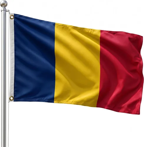 Vista 157 de DMSE - Bandera nacional beninesa beninesa de la República de África Occidental, 2 x 3 pies, 100 % poliéster, 100 % poliéster, resistente a los rayos