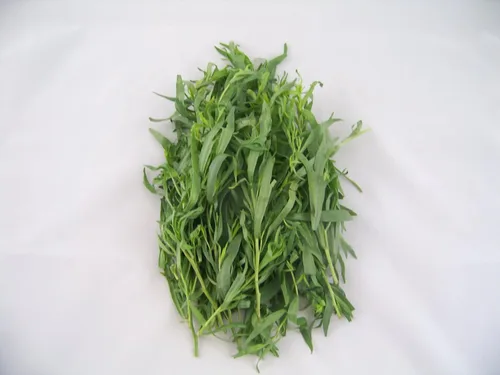 Vista 2 de 100 TARRAGON - Francés / Cocina / Común / Hierba de Dragones - Semillas de hierbas de flores de Artemisia Dracunculus