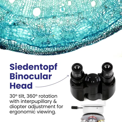 Vista 4 de AmScope Serie B120 Microscopio compuesto binocular LED para estudiantes y profesionales - Aumento 40X a 2500X - Incluye cámara USB 2.0 de 0.3MP