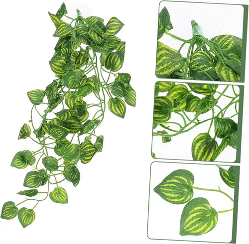 Vista 6 de Angoily 2pcs Paisajismo Plantas Barbudas Dragón Tanque Decoración Plantas Falsas para Reptiles Terrario Plantas Gecko Plant