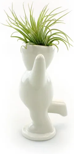 Vista 6 de NW Wholesaler Maceta de cerámica blanca con forma de persona feliz de 3.25 pulgadas con planta de aire Tillandsia viva, plantas de aire