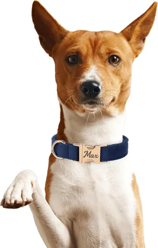 Vista 2 de Juego de arnés de terciopelo, regalo para dueños de mascotas, collar personalizado con nombre y número de teléfono, collar y correa personalizados