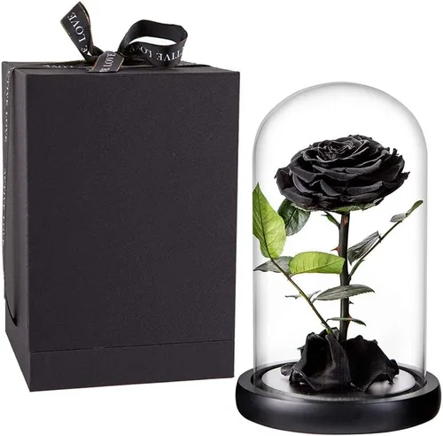 Vista 8 de Rosas preservadas, rosas negras en cúpula de cristal, medianas, flores preservadas para el día de la madre, regalos para mujeres Negro