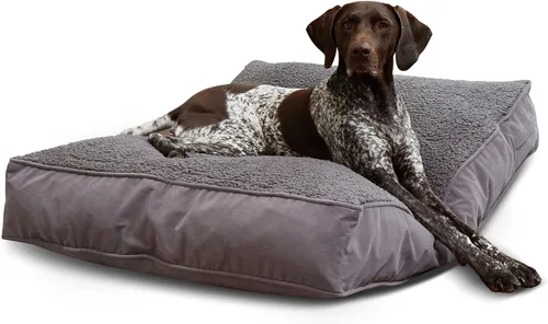 Vista 27 de South Pine Porch Buddy - Cama rectangular reversible de microfibra para perro con funda extraíble, lavable a máquina, cacao, extra pequeña