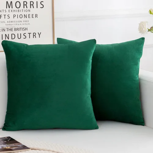 Vista 16 de Juego de 2 fundas de almohada decorativas de terciopelo, funda de cojín cuadrada suave para decoración del hogar para sala de estar, sofá o cama