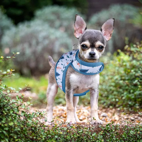 Vista 6 de Mile High Life Arnés para perro, chaleco floral de malla de aire para perros y gatos pequeños de 20 libras, fácil de poner, cierre fácil ajustable