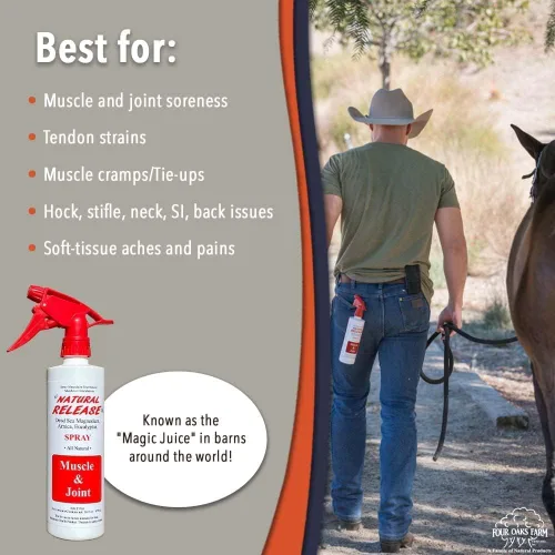 Vista 5 de Four Oaks Farm Ventures, Tratamiento en aerosol muscular de liberación natural, linimento de caballo para dolores musculares, dolor