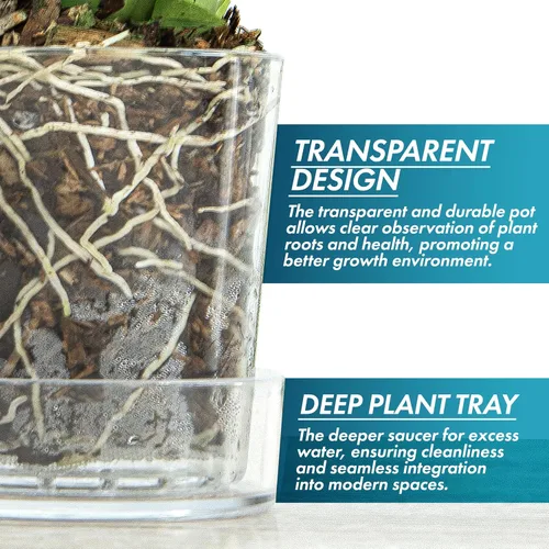 Vista 4 de Maceta Phoenix Vine de 3.5 pulgadas de acrílico transparente con bandeja, maceta para orquídeas con agujeros de drenaje, platillo profundo