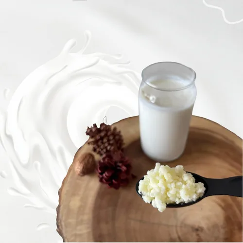 Vista 8 de Granos de kéfir, Kefit de NatuDelight 1 cucharada de granos de kéfir de leche fresca, cultivos iniciadores de kéfir activos vivos, leche de kéfir