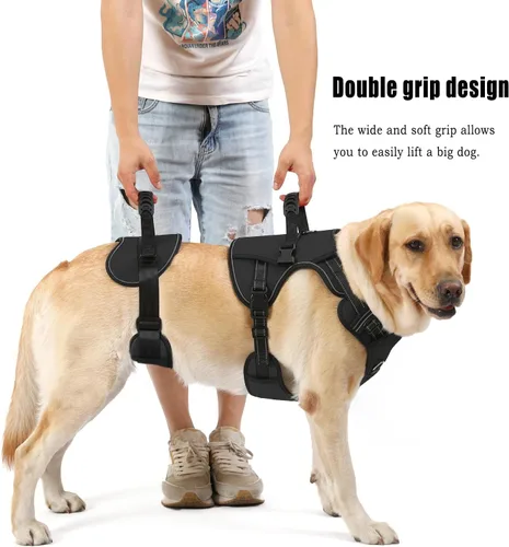 Vista 4 de NOYAL Arnés de elevación para perros para mascotas mayores y lesionadas – Soporte de cuerpo completo con malla transpirable, ayuda de pierna