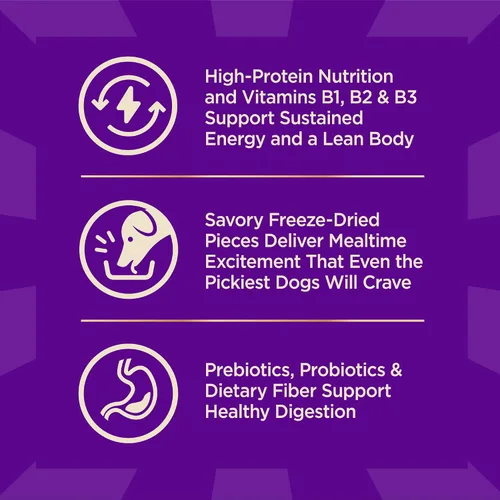 Vista 6 de Wellness CORE+ Alimento seco para perros adultos con trozos liofilizados, croquetas sin granos, natural, alto en proteínas, sin pollo, pescado