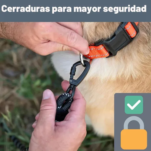 Vista 5 de Correa para perro de 6 pies, dos asas extra acolchadas, clip de mosquetón de bloqueo, reflectante para visibilidad nocturna, resistente a la Negro