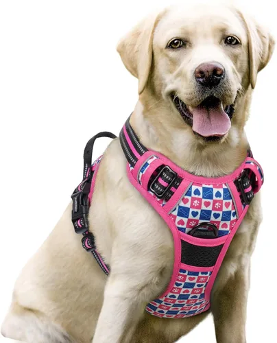 Vista 71 de Rabbitgoo - Arnés para perros sin tirón con 2 clips de correa, chaleco Oxford reflectante acolchado suave ajustable sin estrangulamiento para Beige