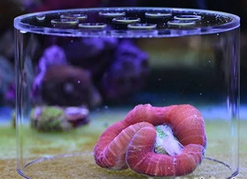 Vista 2 de Cubierta de protección de cría de alimentación de coral suave, protege la comida de coral no se pierda