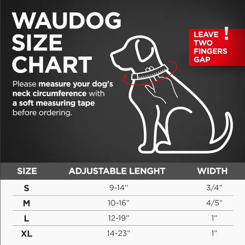 Vista 6 de WAUDOG Collar de perro impermeable – Collar ajustable para perros grandes, pequeños y medianos – Collares resistentes con cierre de metal duradero