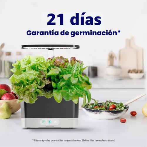 Vista 3 de Sistema hidropónico de jardín interior AeroGarden Harvest con luz de cultivo LED y kit de hierbas, con capacidad para hasta 6 cápsulas, color blanco