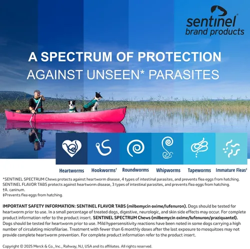 Vista 6 de SENTINEL SPECTRUM Masticables para perros, 50-100 libras, 6 masticables, suministro para 6 meses, caja azul