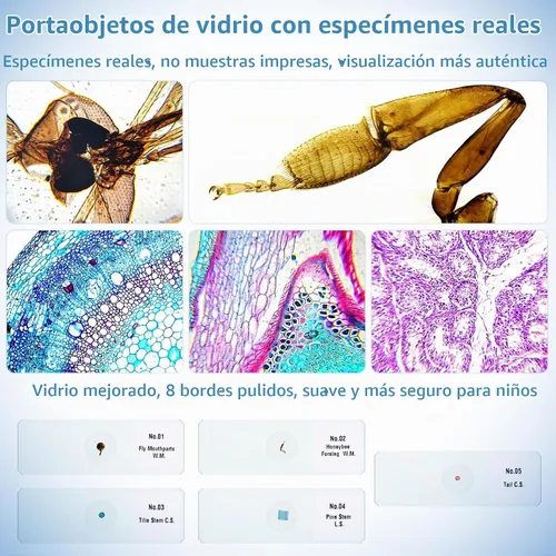 Vista 7 de Microscopio portátil 1000X para niños, pantalla 4K de 2.0 pulgadas, mini microscopios digitales de bolsillo recargable, kit de diapositivas Verde