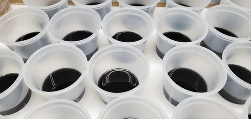 Vista 7 de Semillas de orquídeas Sembrando Medios de Plantas Medianas de Cultivo de Gel Tazas Pre-Esterilizadas Listo para Usar Producto (1)
