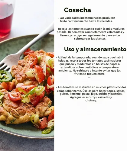 Vista 4 de Burpee Napa Grape - Semillas de tomates uva, 30 semillas