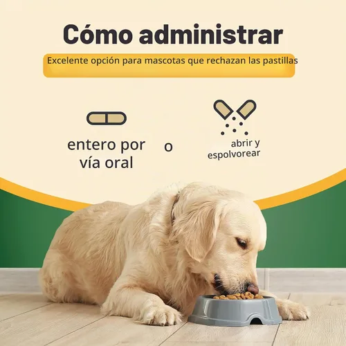 Vista 3 de Ocu-GLO® Cápsulas veganas – Suplemento de visión para perros y gatos maduros – Formulado con luteína, ácidos grasos omega-3 a base de algas