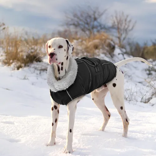 Vista 7 de Lelepet - Abrigo de forro polar ajustable para perro, chaqueta impermeable para perros Windproof Winter Cold Weather Coats with Adjustable Buckle
