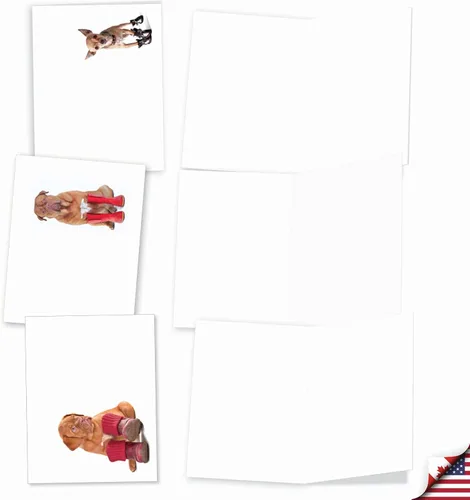 Vista 4 de The Best Card Company - 10 tarjetas de perro en blanco surtidas (4 x 5.12 pulgadas) - Adorables tarjetas de notas de animales en caja para todas