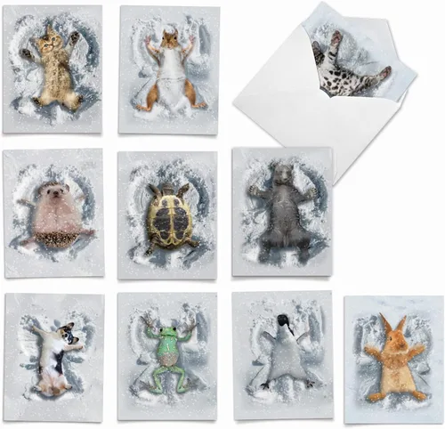 Vista 18 de The Best Card Company - Tarjetas de animales en blanco en caja, 4 x 5.12 pulgadas, mascotas surtidas, zoológico, tarjetas de vida silvestre