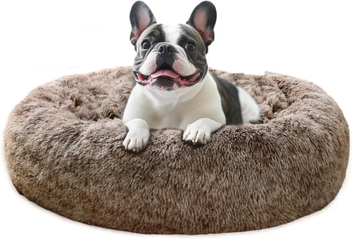 Vista 36 de JOLLYVOGUE - Cama calmante para perros y gatos pequeños y medianos, antiansiedad, redonda, suave, acogedora con parte inferior antideslizante