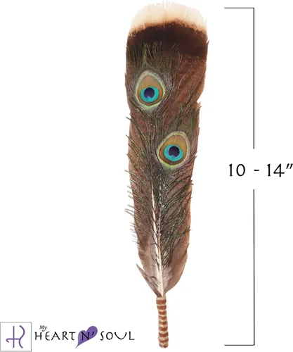 Vista 3 de Kit completo de manchas con salvia, pluma, cáscara de abulón, soporte, limpieza energética, práctica espiritual, manchas en casa, instrucciones