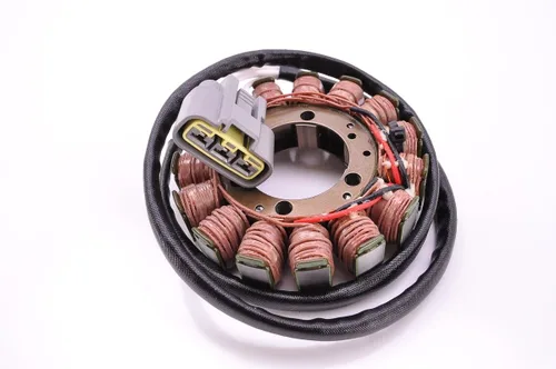 Vista 2 de Estator eléctrico Ricks Motorsport 21-234