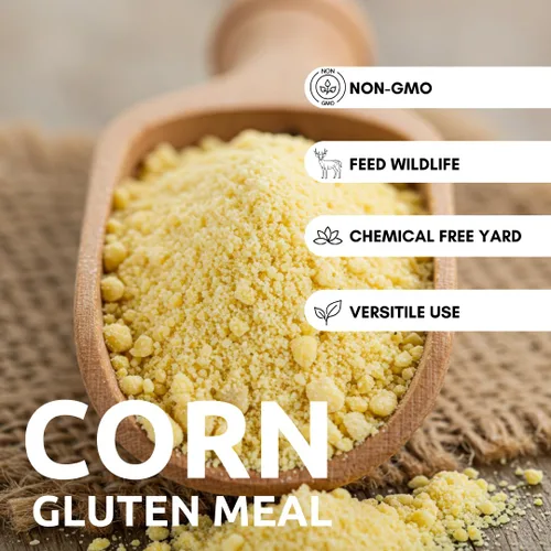 Vista 2 de Harina de gluten de maíz: bolsa de 10 libras, fertilizante natural para césped y fuente de nitrógeno y suplemento de alimentación con alto contenido