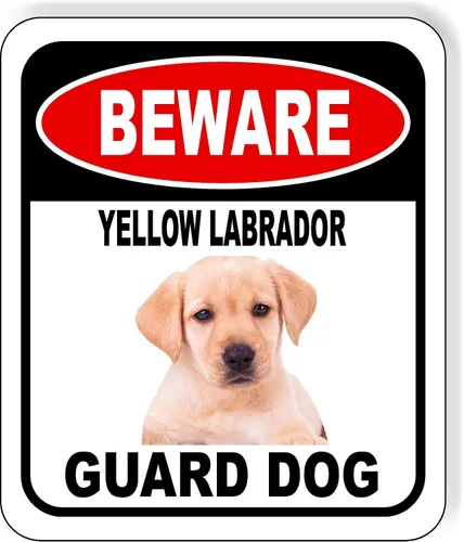 Vista 46 de BEWARE BASSETT HOUND GUARD DOG - Letrero compuesto de aluminio para exteriores, 8.5 x 10 pulgadas CUIDADO BASSETT HOUND GUARD PERRO
